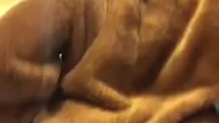  Teen smacks and bounces his ass in cute moose onesie