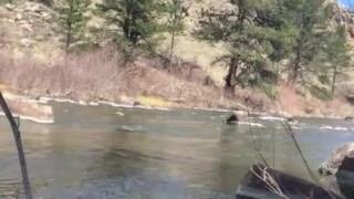 Stroking by the stream