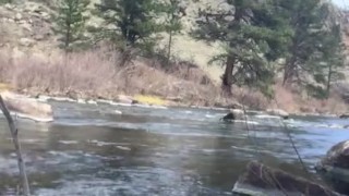 Stroking by the stream
