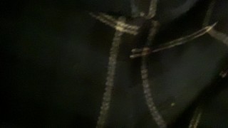 Feeding my hungry ass with cucumbers