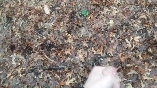 Cumming in the Woods (+Cumwalk Back)