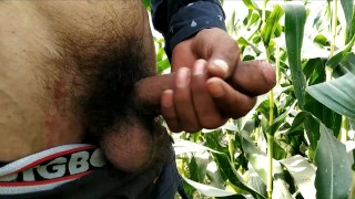 Hairy Cock Handjob and Cumshot in Outdoor_Masturbation 