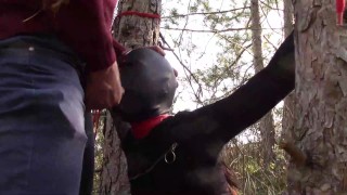 Tied to a tree on a sexy outfit, masked and outdoor deepthroat with no mercy
