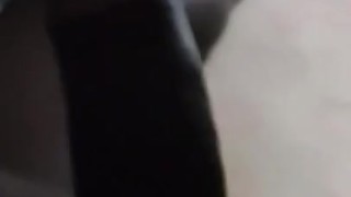 Meu Pau duro