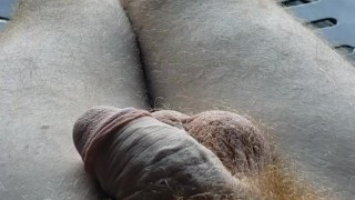 Firebush