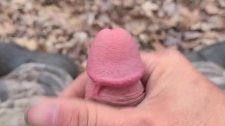 BushPlay