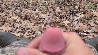 BushPlay