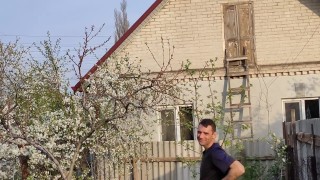 Spring garden