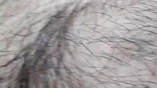Corrida gordito 