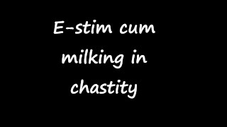 E-stim cum milking in chastity
