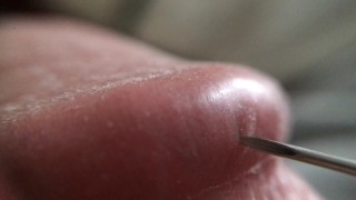 Penis Glans Tissue on Ultra Closeup HD View (Handheld Macro is a Real Challenge)