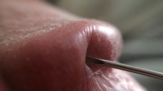 Penis Glans Tissue on Ultra Closeup HD View (Handheld Macro is a Real Challenge)