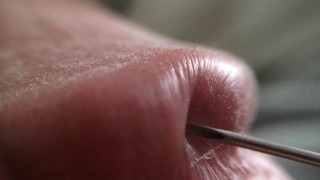 Penis Glans Tissue on Ultra Closeup HD View (Handheld Macro is a Real Challenge)