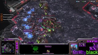 zerg fucking protoss up hard - no commentary