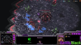 zerg fucking protoss up hard - no commentary