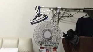 大量の精子を腹の上に出した。射精タイム❤️