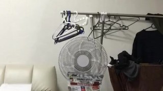 大量の精子を腹の上に出した。射精タイム❤️