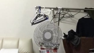 大量の精子を腹の上に出した。射精タイム❤️