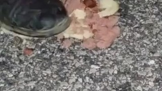 Hotdog stomping with boots