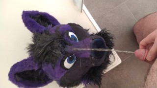 Lucer pissing on his head