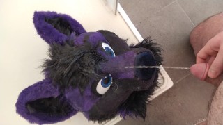 Lucer pissing on his head