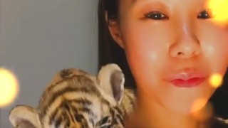 Cute Tiger
