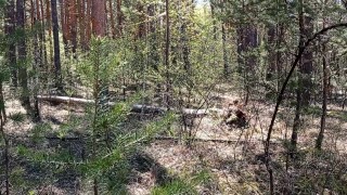 дрочка на прогулке в красивых трусиках в экстрим