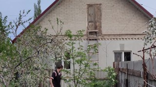 A walk in the garden