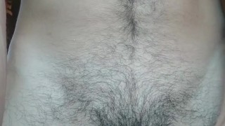 Do you like panochon ??