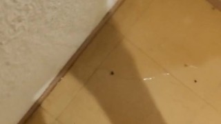 Propriétaire... 😈