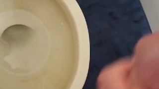 Big load into toilet 