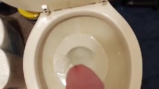 Big load into toilet 