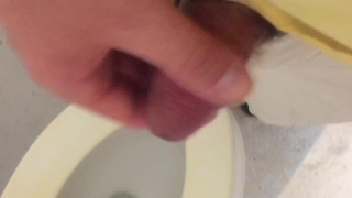 Attempting to Jerk in Park Bathroom but Kept Getting Interrupted 