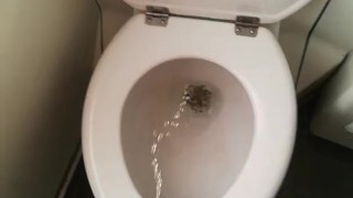 Getting a semi while pissing in the train toilet, then spitting