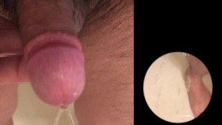 【4K オススメ】超どアップ！尿道から出るおしっこと亀頭についた雫・・・これは見ごたえある！？