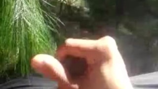 Disfrutando el bosque 