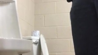Piggy making out with urinal 