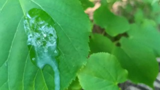 Thick dick outdoor cumshot and close up looking on cum