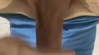 Paja rapida