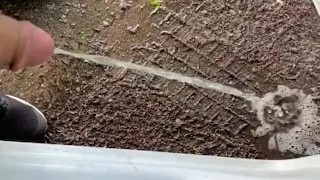 Pee Desperation auf dem Parkplatz