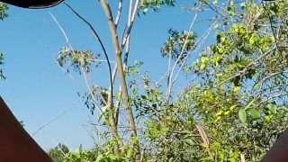 Paja en el techo de mi casa