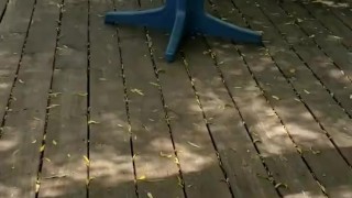 Flashing the roofer, showing off ginger cock