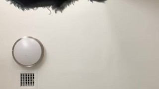 Upskirt Pussy Tease, I’ll Sit On Your Face