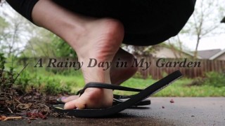 A Rainy Day in my Garden - HD TRAILER