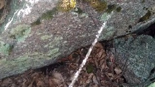 Pissing in the woods