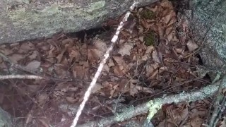 Pissing in the woods
