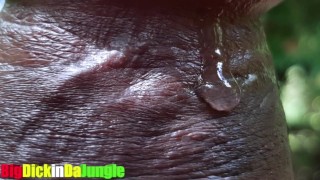 Horny Solo Male with Huge BBC is Obsess with Playing with his Precum Extreme Close Up Precum Play HD