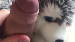 Jacking off again with my wolf plush