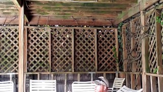 Ginger caught showing off in public, pissing, playing with floppy cock 