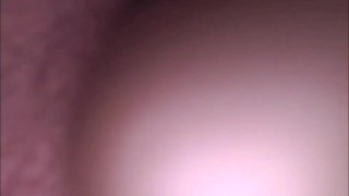 Pierced Juicy Fat Pussy Toys